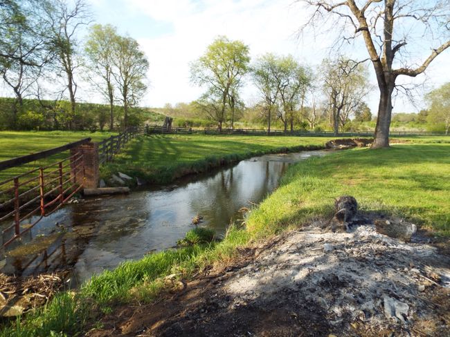 creek that provides peace and tranquility | Image 29