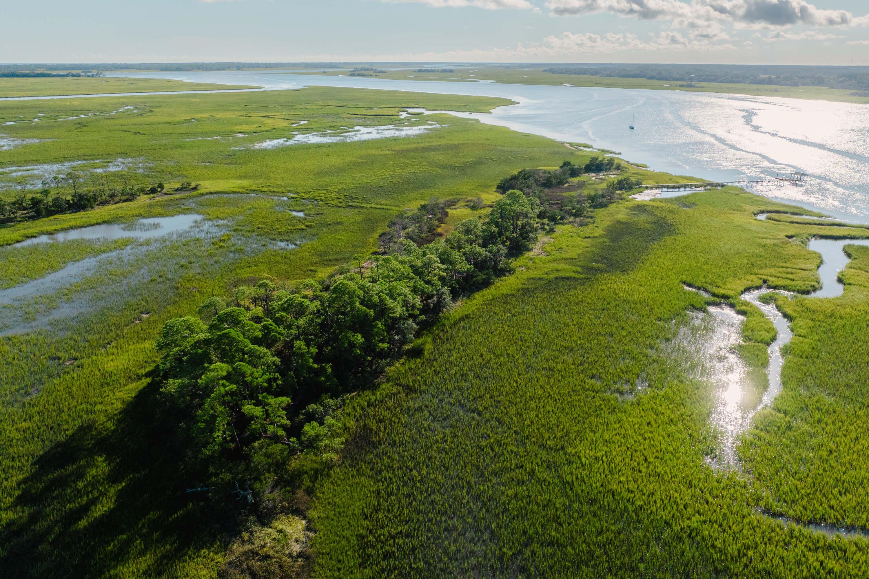 Land in Charleston 2