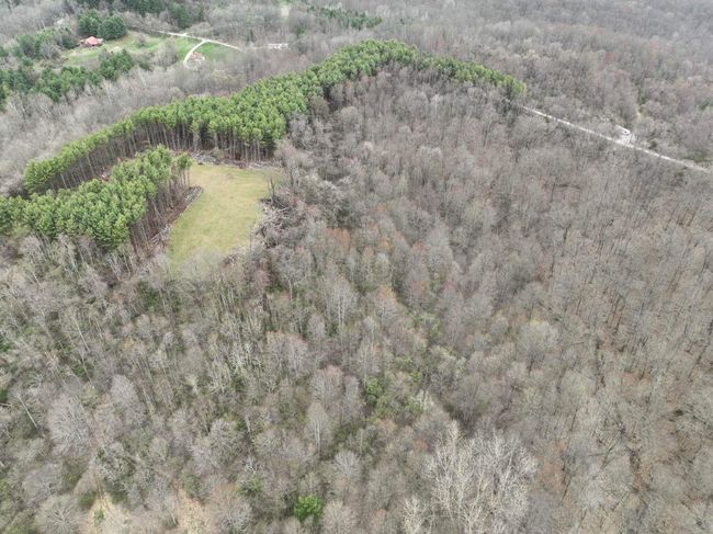 0 Don Wiley Rd, Home with 0 bedrooms, 0 bathrooms and null parking in Caldwell OH | Image 33