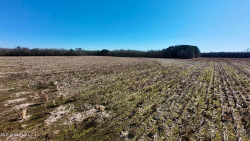 01 Mann Rd, Carthage, MS, 39051 | Card Image