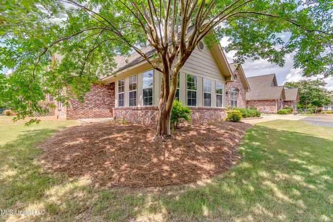 804 Charmant-7 | Image 34