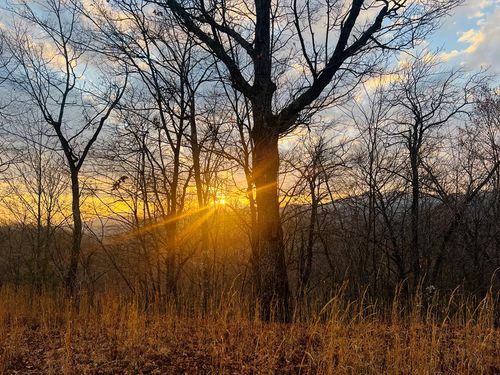 00 Aster Trail, Marble, NC, 28905 | Card Image
