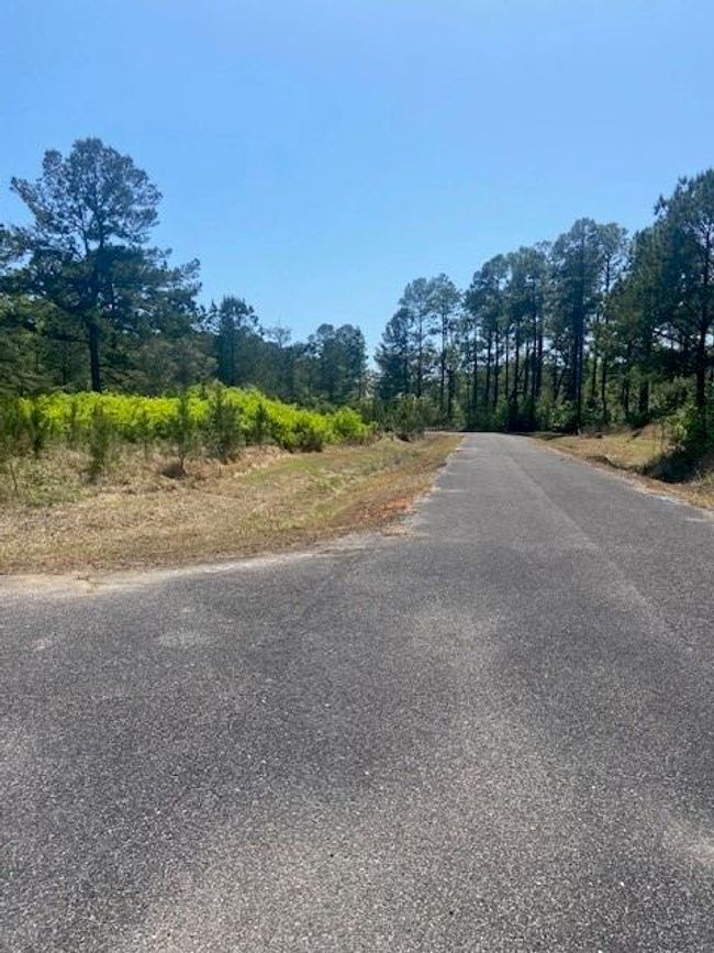3851 River Rd, Home with 0 bedrooms, 0 bathrooms and null parking in Theodore AL | Image 7