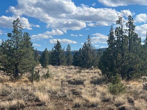 2950 Se Maple Ln, Prineville, OR, 97754 | Card Image