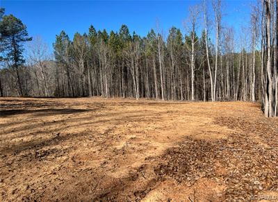 Cleared Lot #2 | Image 2