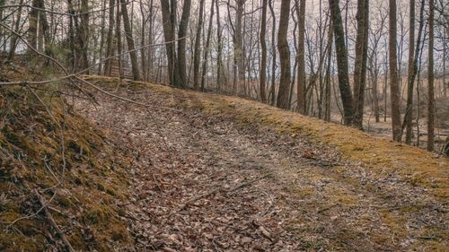 0 Alum Spring Rd, Dublin, VA, 24084 | Card Image