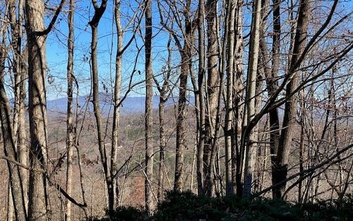 LT 5 Sunrock Mountain Trce, Blue Ridge, GA, 30513 | Card Image