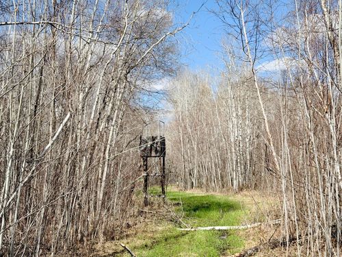 TBD Nature Ave, Palisade, MN, 56469 | Card Image