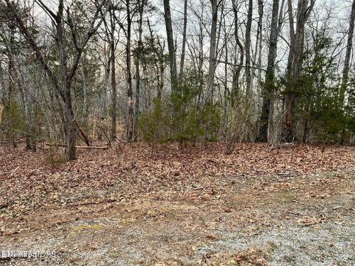 100 Odali Ln, Loudon, TN, 37774-3011 | Card Image