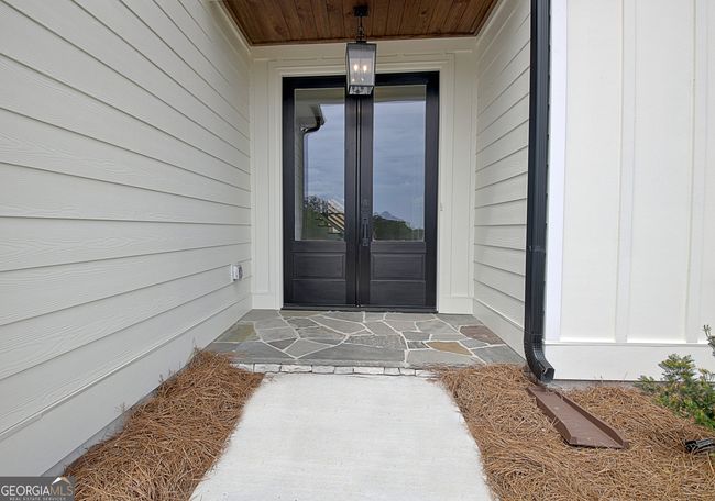 460 Werner Way, House other with 4 bedrooms, 4 bathrooms and 2 parking in Senoia GA | Image 7