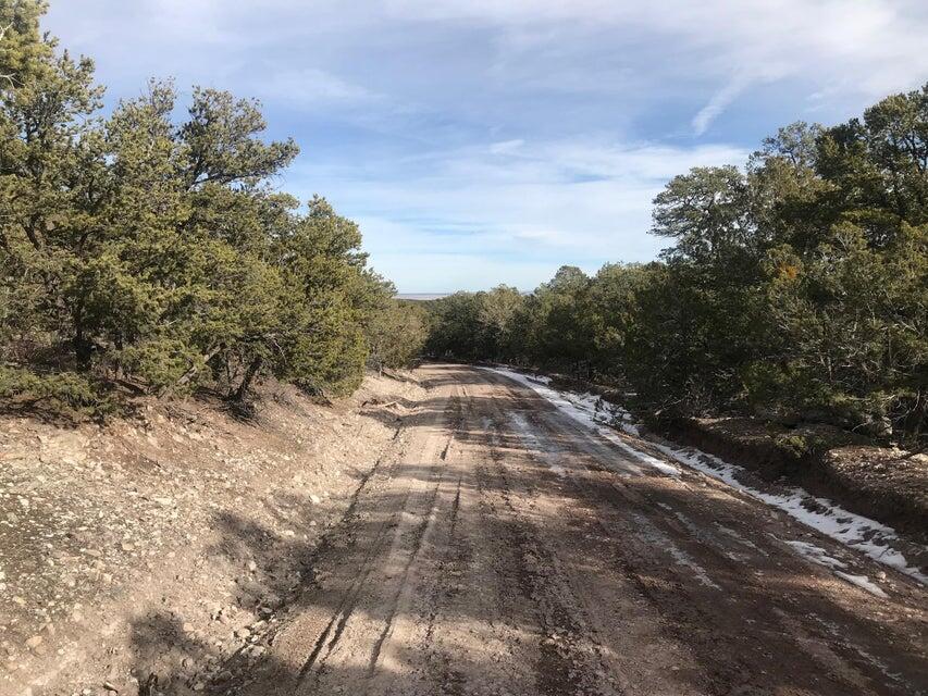 Land in Tijeras 2