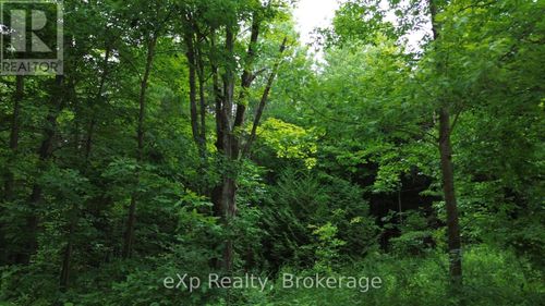 720227 Sideroad 20 Sideroad, Chatsworth, ON, N0H1R0 | Card Image