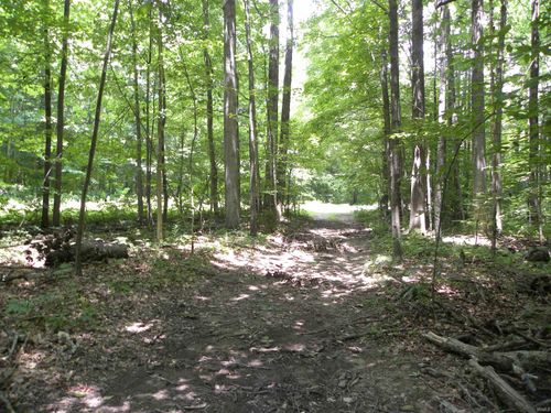 0000 W Coonpath Rd, Spencer, IN, 47460 | Card Image