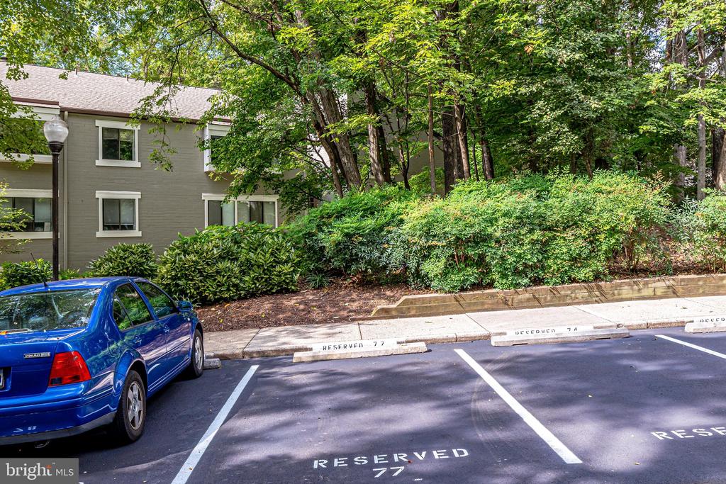 Residential Lease in RESTON 4