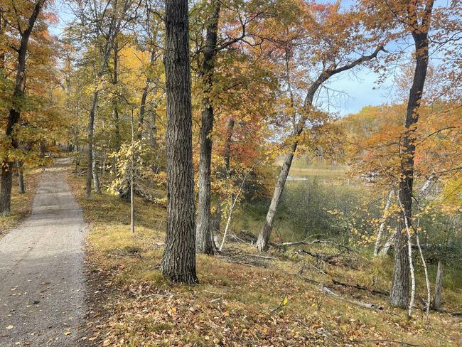 golf cart path to lakeside area is beautiful | Image 10