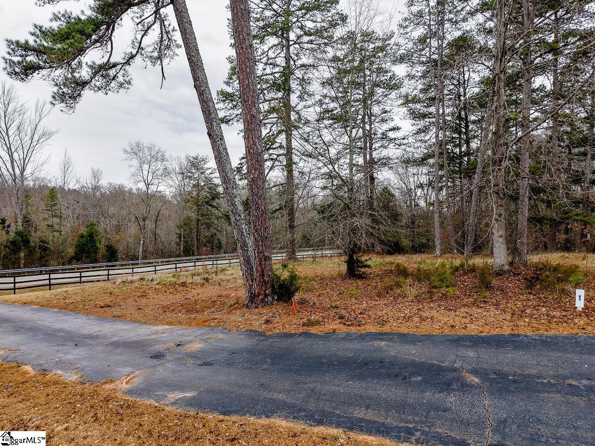 Land in Anderson 5