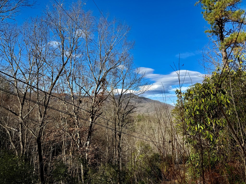 Land in Sylva 4