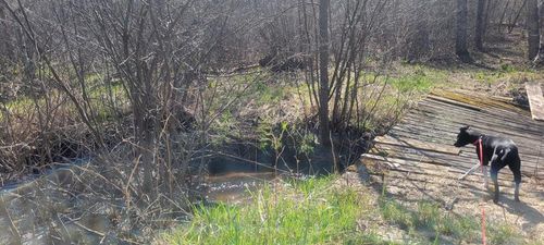 W14103 County Road P, TAYLOR, WI, 54659 | Card Image
