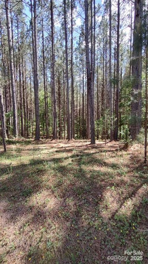 80-105 Cranberry Ln, Mooresboro, NC, 28114-6826 | Card Image