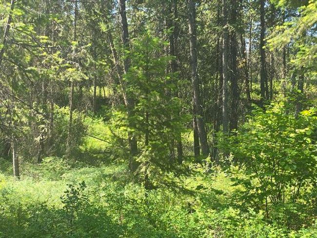 3418 Kingsbury Lake Way, Home with 0 bedrooms, 0 bathrooms and null parking in Kettle Falls WA | Image 13