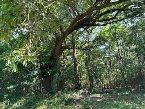 203-B School Basin Rd Avenue, Lucedale, MS, 39452 | Card Image