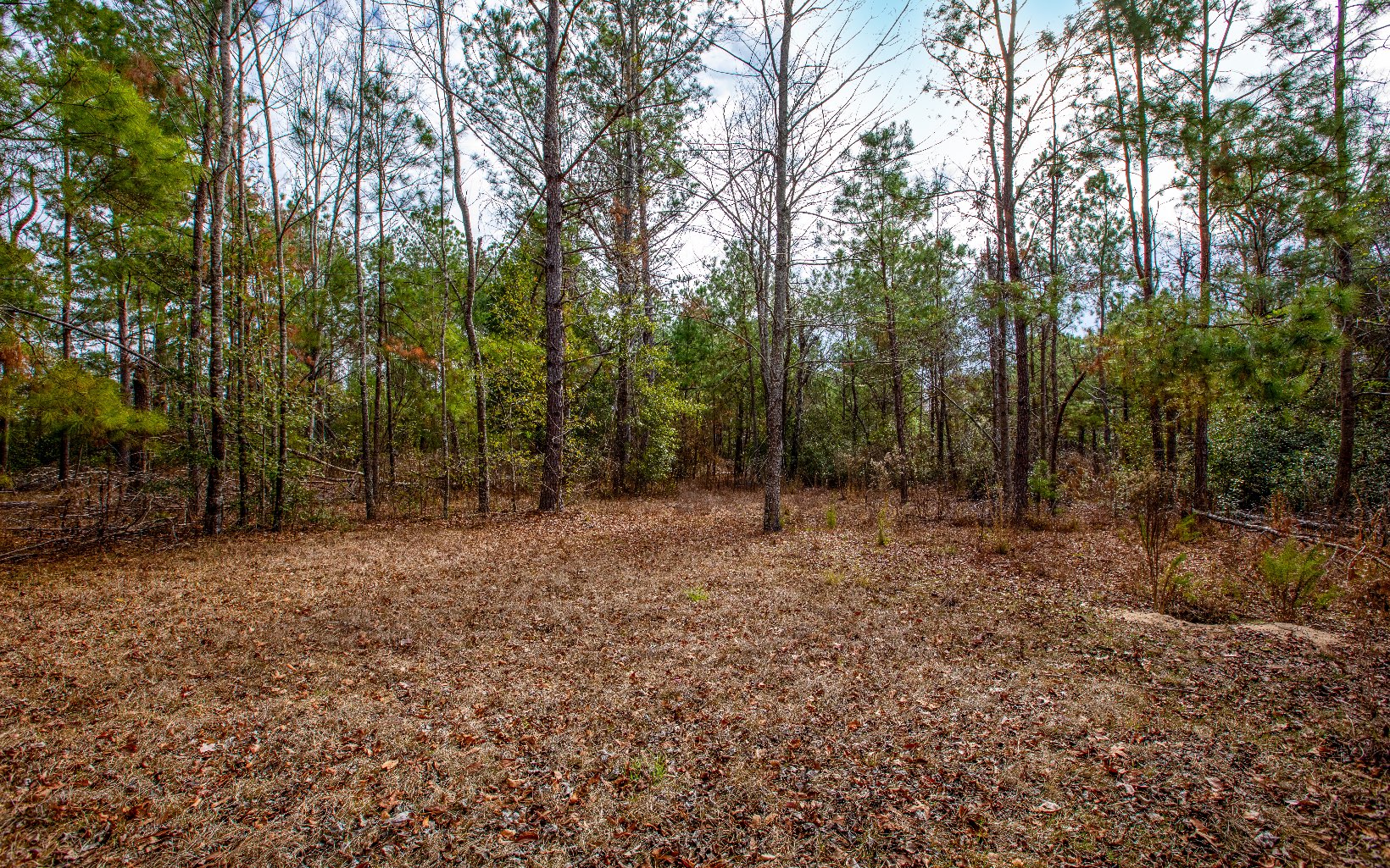 Land in Jennings 5