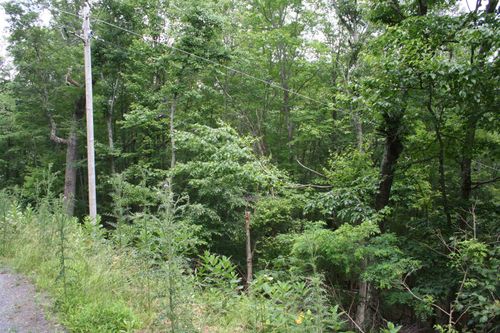 41 High Valley Dr S, MONTEREY, VA, 24465 | Card Image