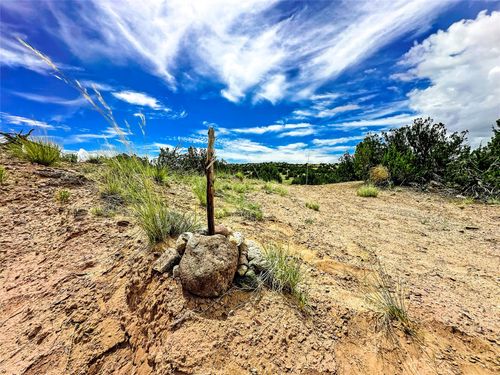 TBD Fort Defina Road, Lot 165 4.93 Acres, Medanales, NM, 87548 | Card Image