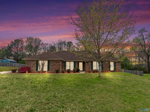 105 Hornet Court, Madison, AL, 35757 | Card Image