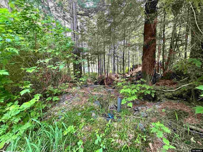 100 Yakobi Way, Home with 0 bedrooms, 0 bathrooms and null parking in Sitka AK | Image 13