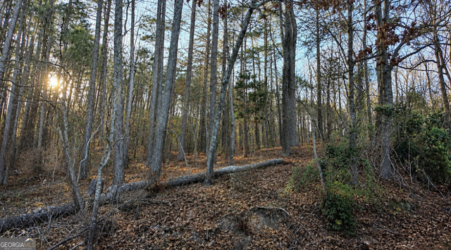 Land in Conyers 2