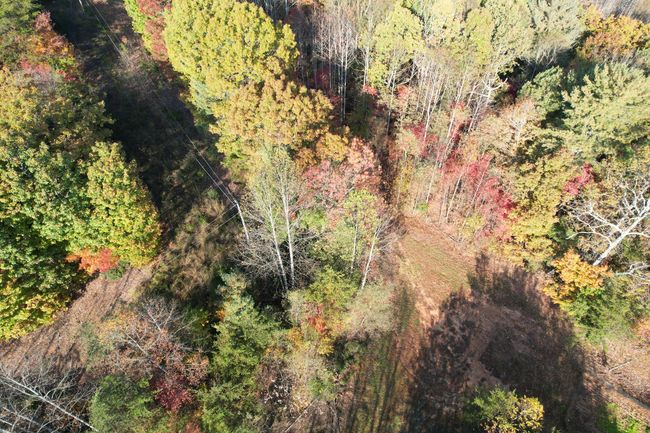 DJI_0024 | Image 24