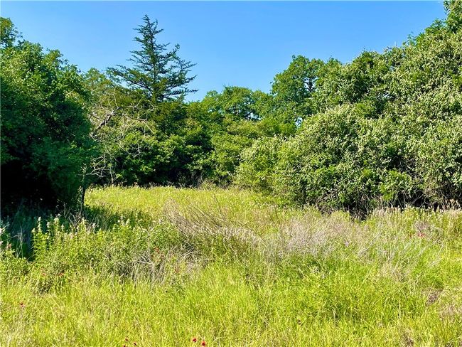9211 Stetson Drive, Home with 0 bedrooms, 0 bathrooms and null parking in Normangee TX | Image 14