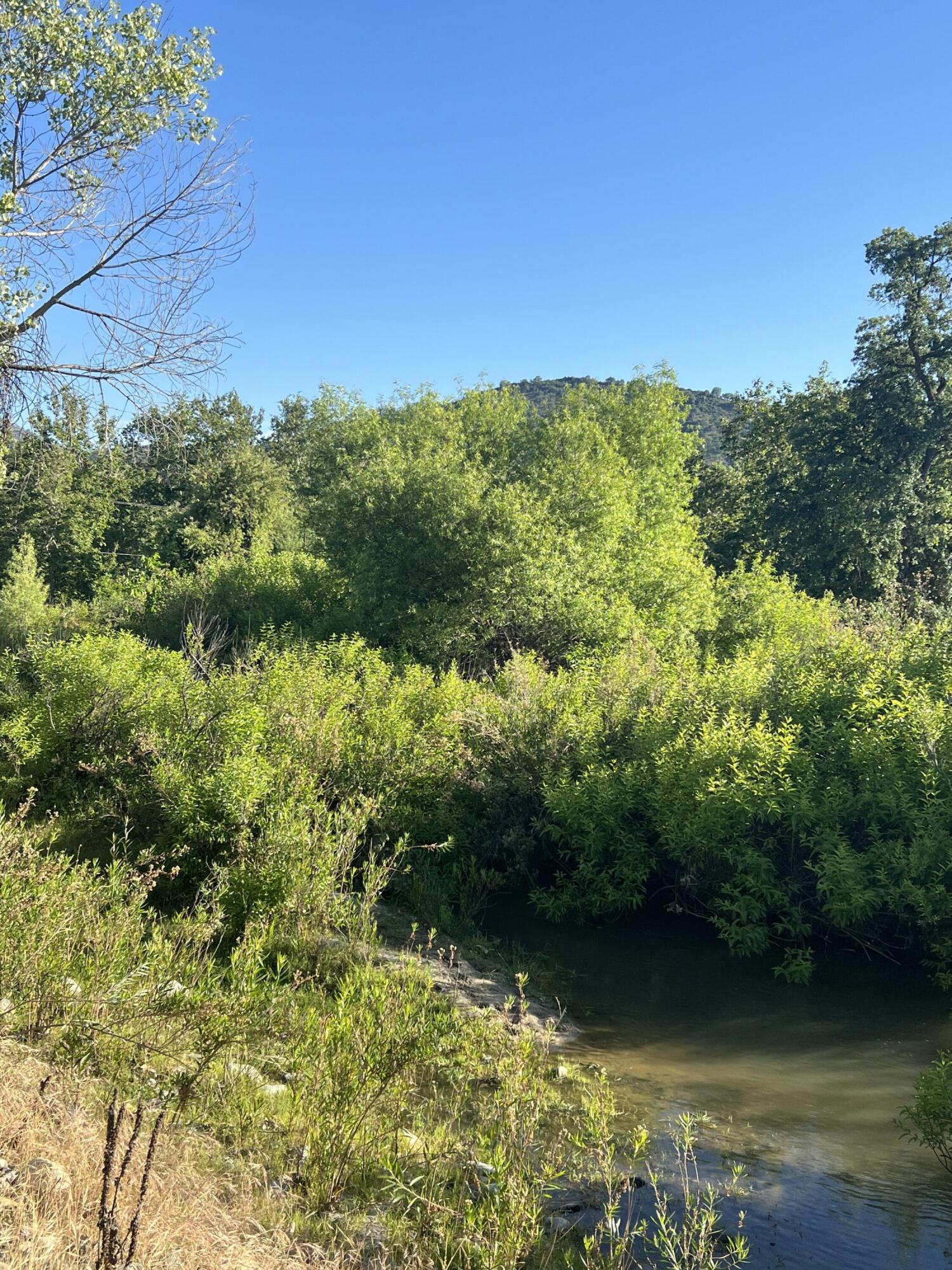 Land in Sanger 4