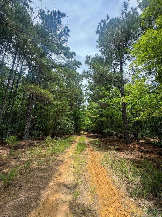 0000 Fm 3421, Home with 0 bedrooms, 0 bathrooms and null parking in Lone Star TX | Image 20