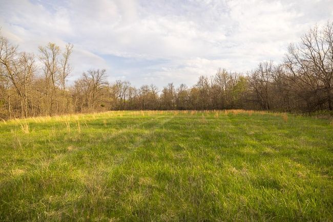 View of nature featuring a rural view and a view of trees | Image 87