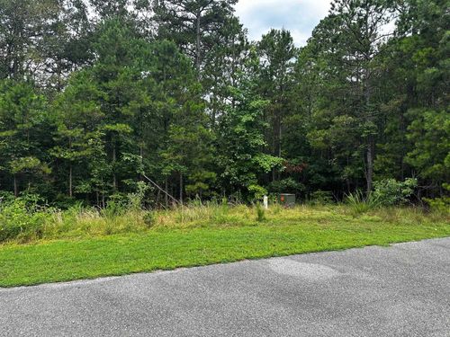 Lot 91 Cobalt Bay Dr, Shirley, AR, 72153 | Card Image