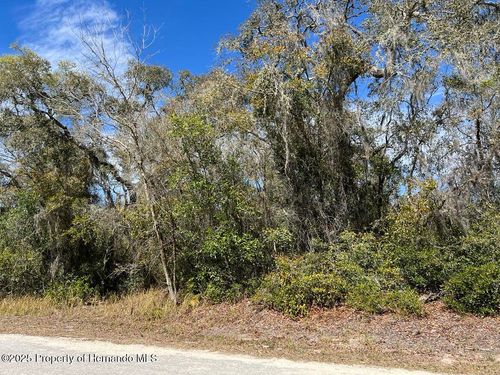 0 Riverstone St, Webster, FL, 33597 | Card Image