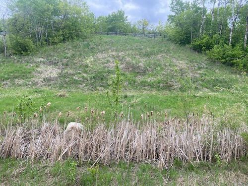 101-19518 Township Road 452, Tillicum Beach, AB, T4V2M9 | Card Image