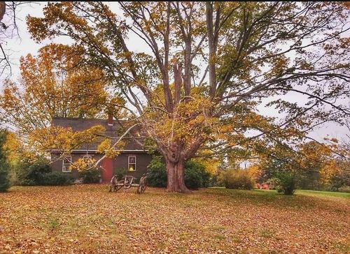 74 Amesbury Rd, Kensington, NH, 03833-5619 | Card Image