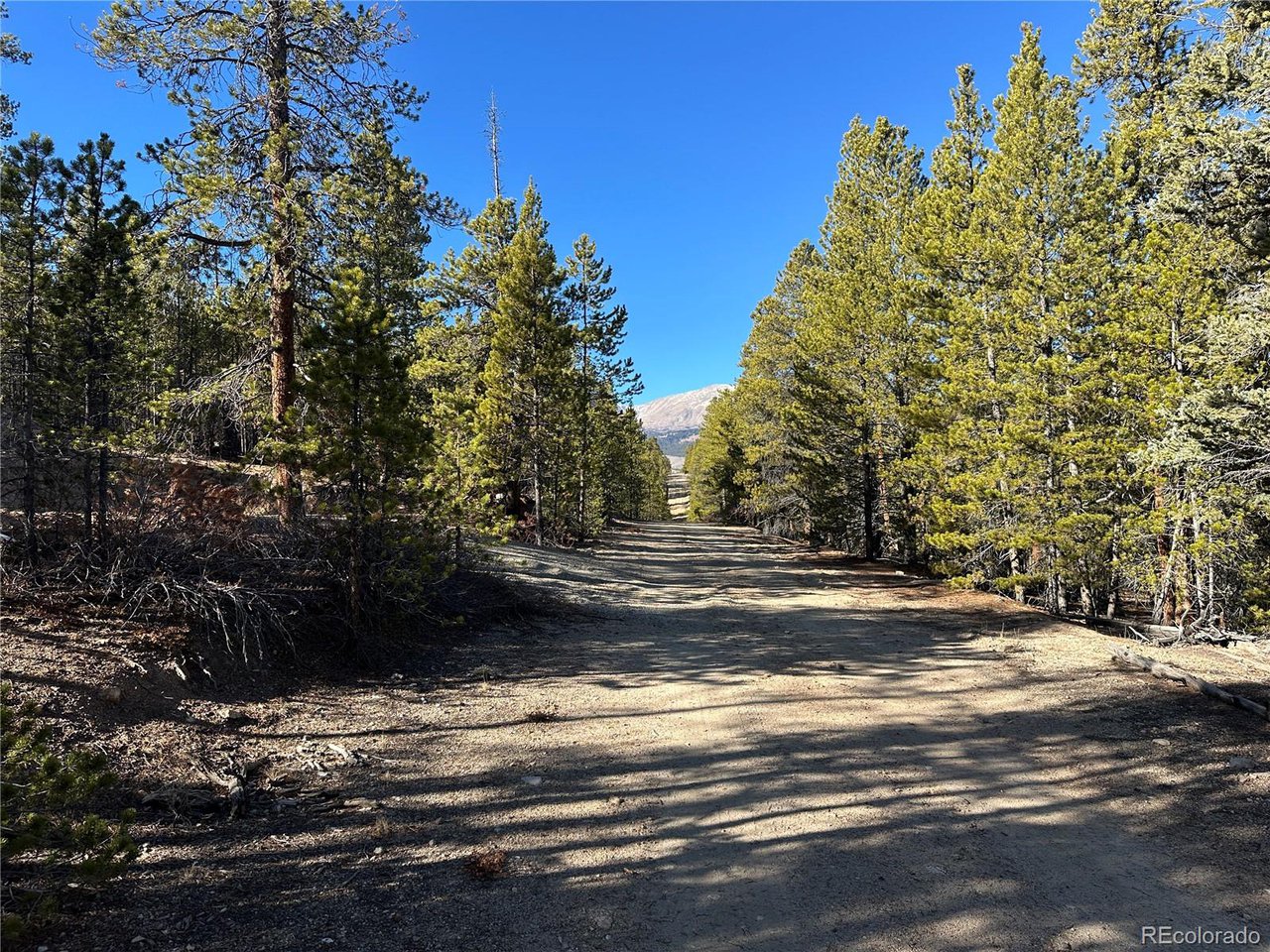 Land in Leadville 5