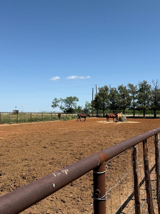 447 W Fm 1606, House other with 3 bedrooms, 2 bathrooms and 2 parking in Ira TX | Image 58