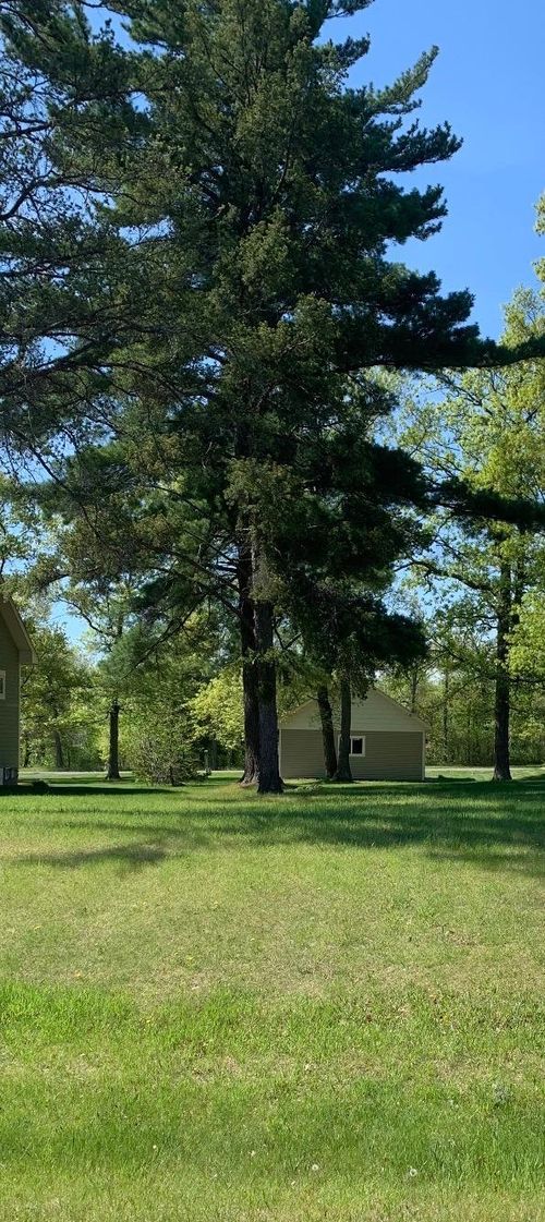 6455 Kabekona Beach Rd Nw, Walker, MN, 56484-2301 | Card Image