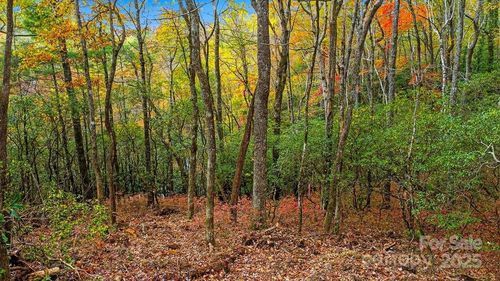 21-000 Indian Lake Rd, Lake Toxaway, NC, 28747 | Card Image