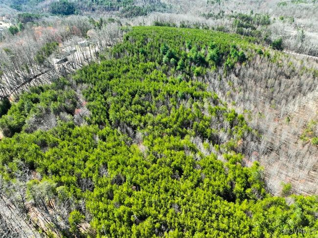 30.19 Acres (Off Of) Belvedere Dr, Home with 0 bedrooms, 0 bathrooms and null parking in Fieldale VA | Image 7