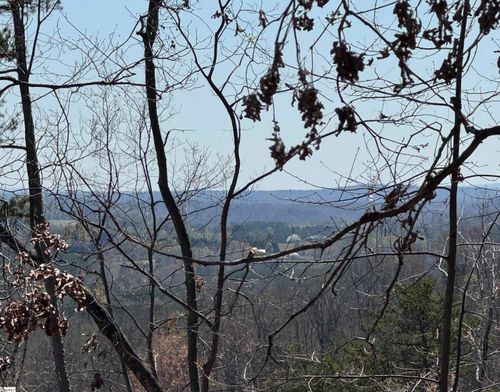 00 Goforth Rd, LANDRUM, SC, 29356 | Card Image