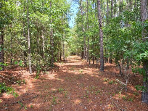 3435 Highway 430, Nichols, SC, 29581 | Card Image