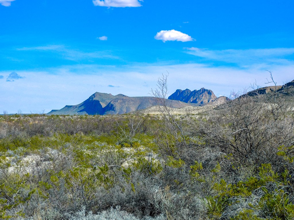 Land in Terlingua 5