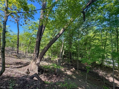 Lot 1 Altamont Rd, Mingo Junction, OH, 43938-1501 | Card Image