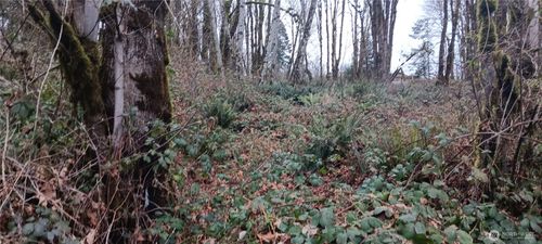 0 W County Line Rd, McCleary, WA, 98557 | Card Image